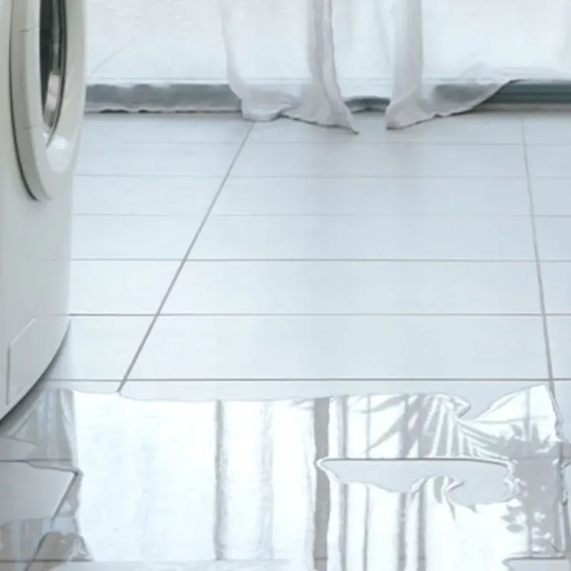 Appliance Leak Cleanup in Lantana, FL
